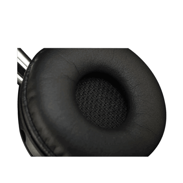 Jabra Biz 2400 II Duo