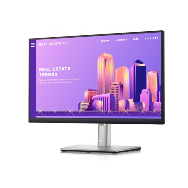 Ecran Dell 24 - P2422H