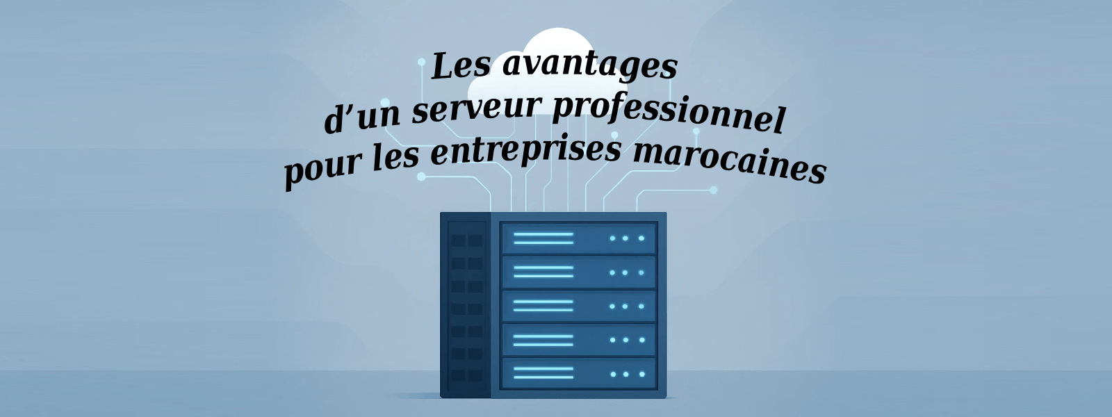 serveur professionnel